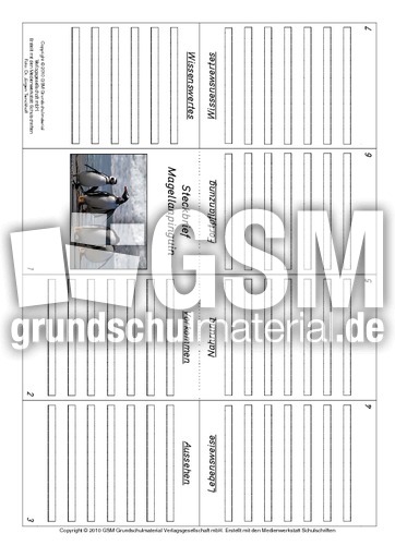 Faltbuch-Magellanpinguin.pdf